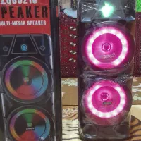 اسپیکر در حد