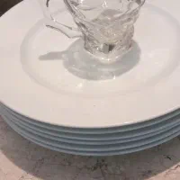 ظروف پذیرای سالم ونو