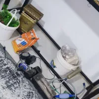 فروش آکواریوم با تمام تجهیزات|ماهی|پاکدشت, حصار امیر|دیوار