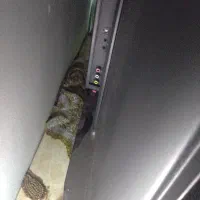 تلویزیون۵۵مدل اسنوا|تلویزیون و پروژکتور|تهران, سجاد|دیوار