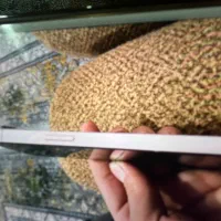 موبایل آیفون 13نرمال|موبایل|جوانرود, |دیوار