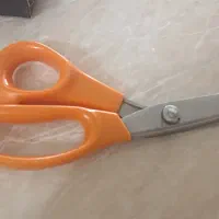 پادری فرشینه ۴۰۰قیچی حلالی ۵۰۰ سرخ کن نو دومیلیون|فرش|تبریز, |دیوار