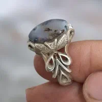 انگشتر شجر|کلکسیون اشیاء عتیقه|بم, |دیوار