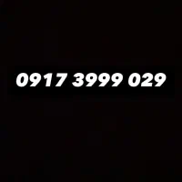 0917-3999-029