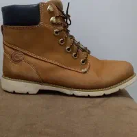 کفش مردانه|کیف، کفش، کمربند|تربت جام, شاهد|دیوار