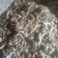 نان خشک تر و تمیز