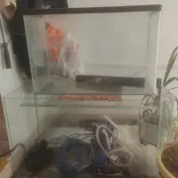 فروش آکواریوم و لوازم