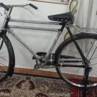 دوچرخه فینیکس (Phoenix) - کالایی لوکس