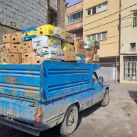 زغال پسته|عمده‌فروشی|تبریز, |دیوار