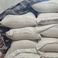 برنج دم سیاه