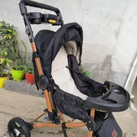 فروش کالسکه دلیجان