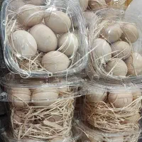 تخم مرغ محلی نور رویان