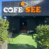 استخدام نیروی کافه سی