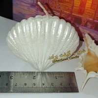 شمع و گیفت صدفی براق بزرگ