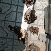 زنجیر چرخ نیسان و خاور