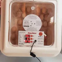 دستگاه جوجه کشی اسکندری ۴۸عددی