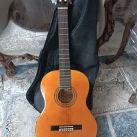 گیتارAk20اصلی