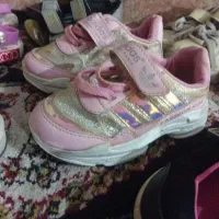 کفش|کیف، کفش، کمربند|مشهد, چهنو|دیوار