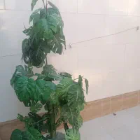 گل مصنوعی