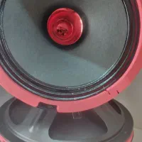 میدرنج شیشونیم|قطعات یدکی و لوازم جانبی|اصفهان, شاه پسند|دیوار