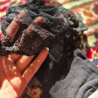 جوراب لب توری پرنسسی بزرگسال|لباس|شیراز, حومه شیراز|دیوار
