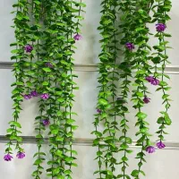 شمشاد گلدار