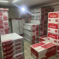 پکیج L28FF ایران رادیاتور طرح تعویض