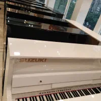 پیانو سوزوکی اقساطی|پیانو، کیبورد، آکاردئون|آمل, |دیوار