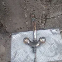 شیردوقلو خارجی