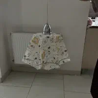 دوعدد لوستر