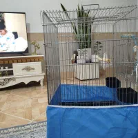 قفس بزرگ