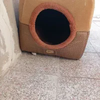 جای خواب پت|لوازم جانبی حیوانات|تاکستان, |دیوار