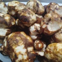 دنبل تمیز شده