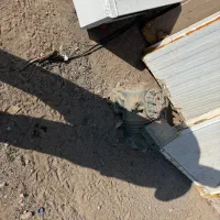 سردخانه ۱۰ تنی دسته دوم|ماشینآلات صنعتی|کرمان, |دیوار