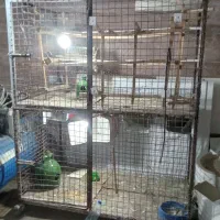 یک عدد قفس دوطبقه