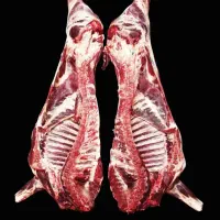 قصاب سیار  از گشتارگاه