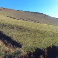 ۳۰۰ متر زمین