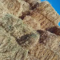 پرس کاه|عمده‌فروشی|مشهد, شهرک صنعتی توس|دیوار