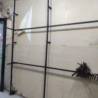 رگال دیواری