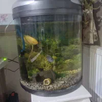 آکواریوم نیم دایره