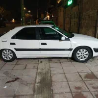 زانتیا ۸۷قوچ قوچ درجه یک