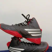 کتونی اورجینال(42)