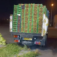 پذیرش سفارش میوه مستقیم از میدان تره بار تهران|خوردنی و آشامیدنی|تهران, میدان میوه و تره‌بار مرکزی|دیوار