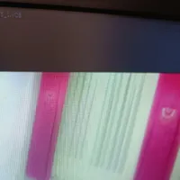 دو عدد والن سرخابی مناسب اتاق خواب اگ