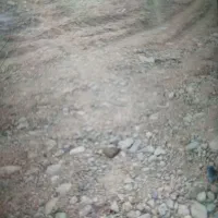 زمین مسکونی 10قصب  رودبار جنوب قیمت توافقی