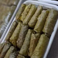 دلمه نیمه اماده