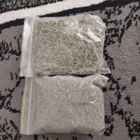 پونه نیمه الک شده