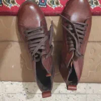 تعدادی کفش دست دوم|کیف، کفش، کمربند|شیراز, گل سرخ|دیوار