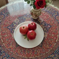 سینی ، رلت خوری و زیر لیوانی رزینی|ظروف سرو و پذیرایی|اسلامشهر, شهرک واوان|دیوار