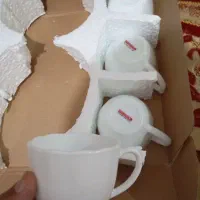 استکان آرکوپال خشک خشک